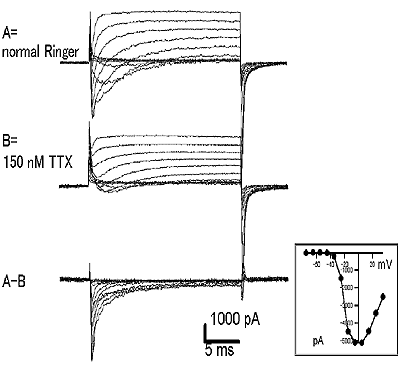 Fig.2