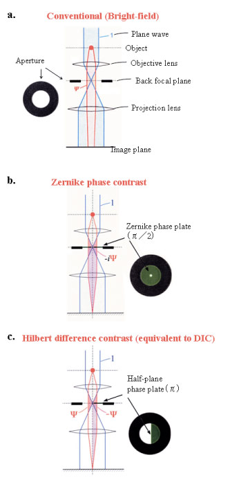 Fig.1