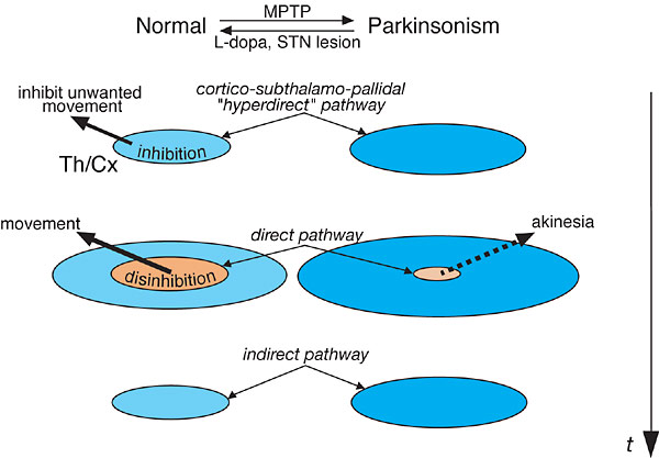 Fig.1