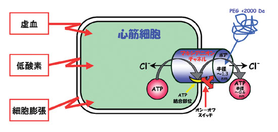 Fig.3