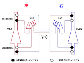 $B?^#2(B