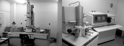 透過型電子顕微鏡（左），走査型電子顕微鏡（右）（電子顕微鏡室）