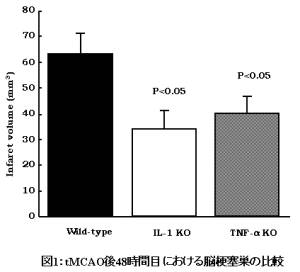 $B?^(B1$B!!(BtMCAO$B8e(B48$B;~4V$K$*$1$kG>9<:IAc$NHf3S(B