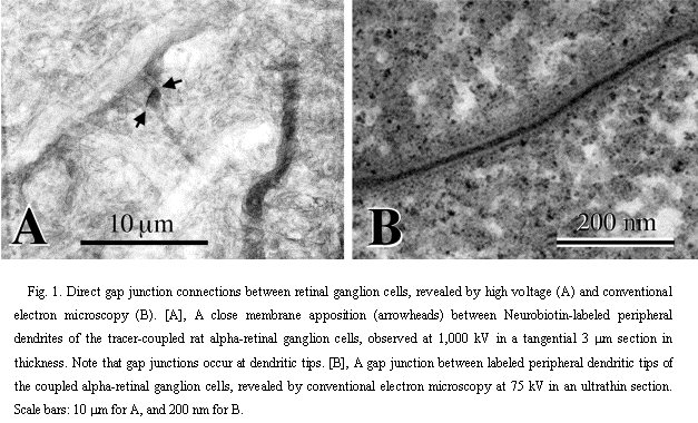 Fig.1