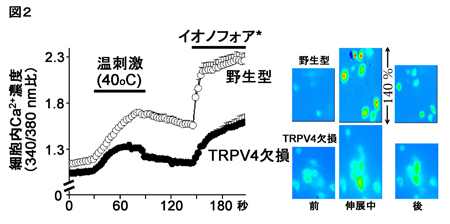 図２mihara.jpg