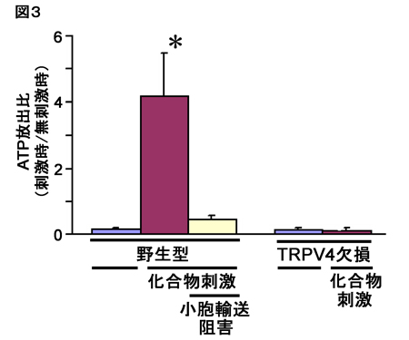 図３mihara.jpg