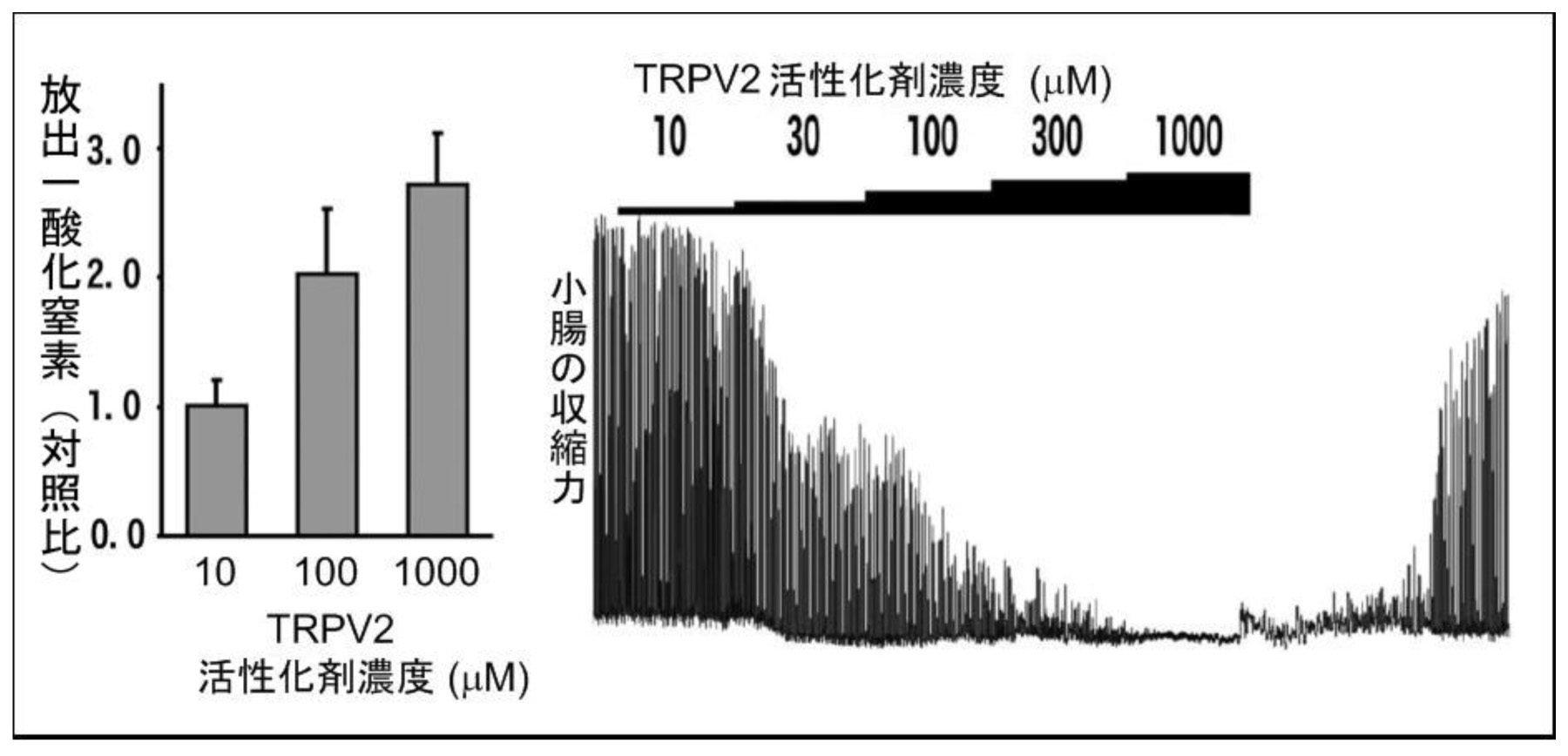 図2分子センサー.jpg