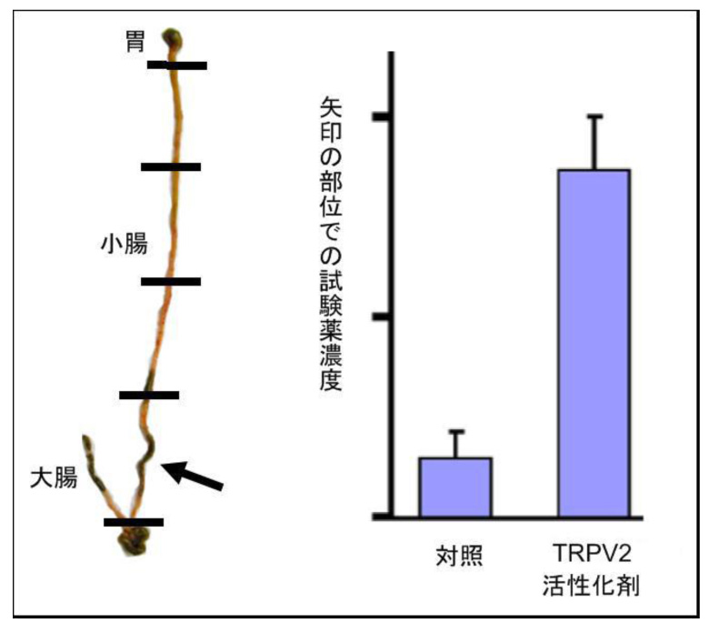 図3活性化剤.jpg