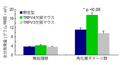 図3.jpg