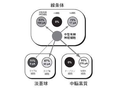 田中意義.jpg