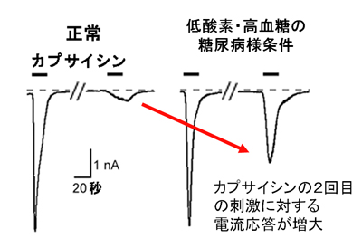 糖尿病１.jpg