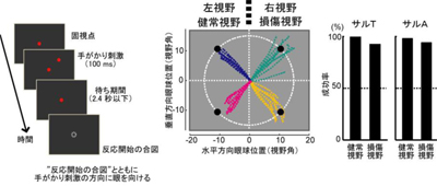 視覚４－１.jpg