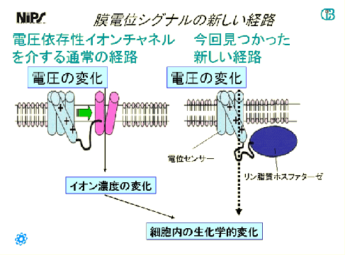 20050520_1.gif