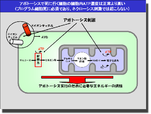 20051102_1.gif