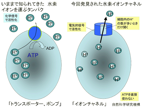 20060405_2.gif