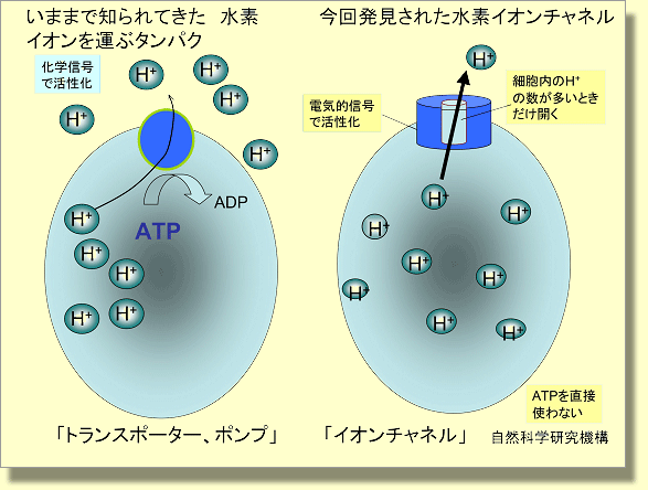 20060405e_2.gif