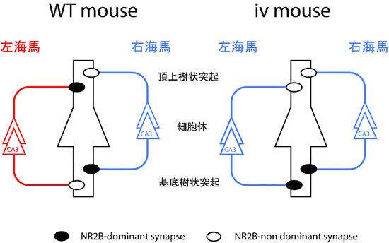 20080502_1.jpg