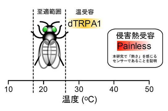 20081001_1.jpg