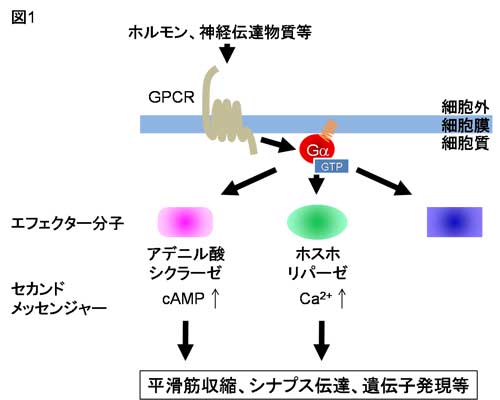 20081119_1.jpg