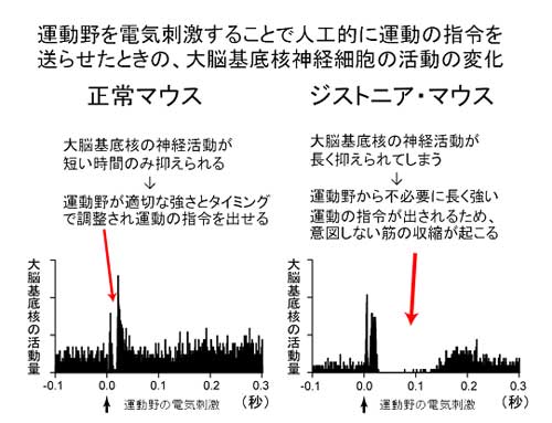 20081217_3.jpg