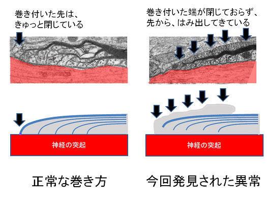 20090701_2.jpg