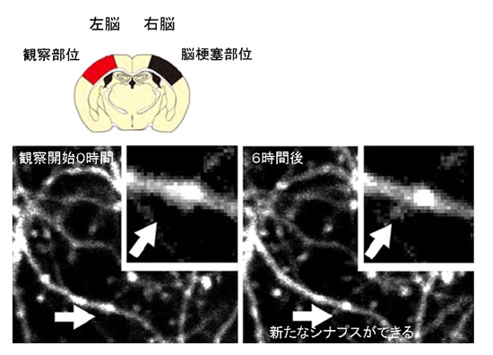 20090812_1.jpg