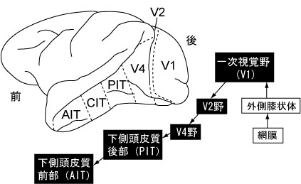 20091119_1.jpg