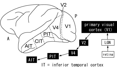 20091119e_1.jpg