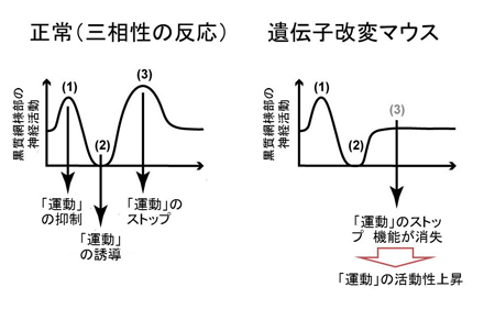 20130424nambu-3.jpg