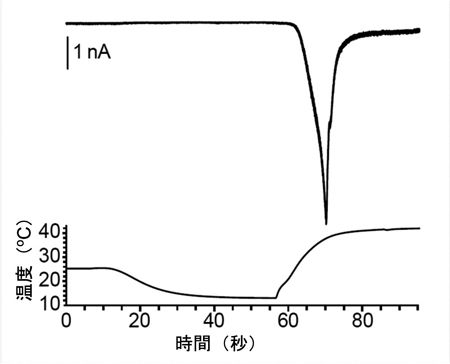 20140324tominaga-hokokuA.jpg