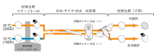 20140324tominaga-hokokuC.jpg