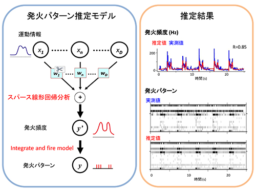 20140612Nishi-Ume2.jpg