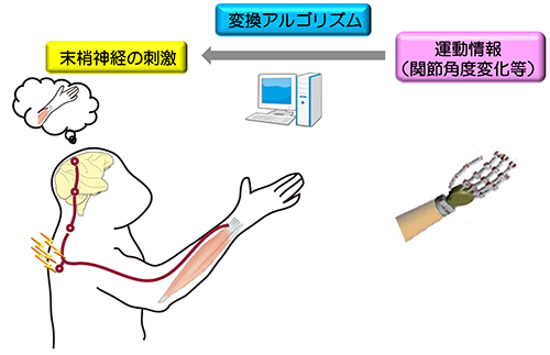 20140612Nishi-Ume3.jpg