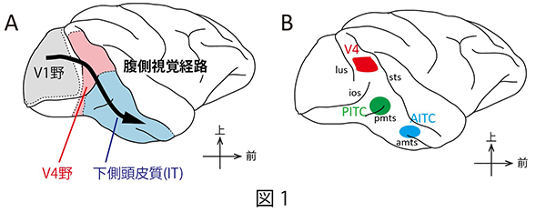 komatsuHoukoku-1.jpg