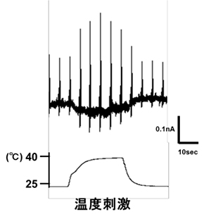 kyushu-1.jpg