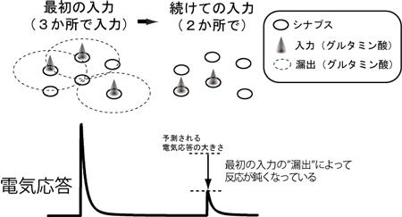 matsui-4-2.jpg