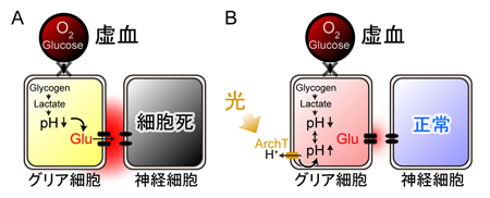 matsui-press20141.23-2.jpg