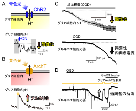 matsui-press20141.23-3.jpg