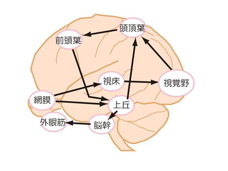 moushi-1-2.jpg