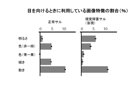 moushi-3.jpg