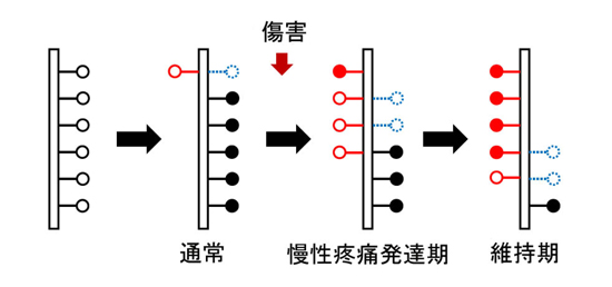 nabekura2-1.jpg