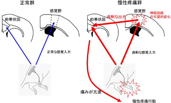 nabekura3.jpg