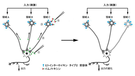 nanbu-1.jpg