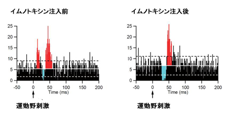 nanbu-3.jpg