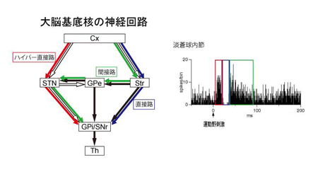 nanbu-4.jpg