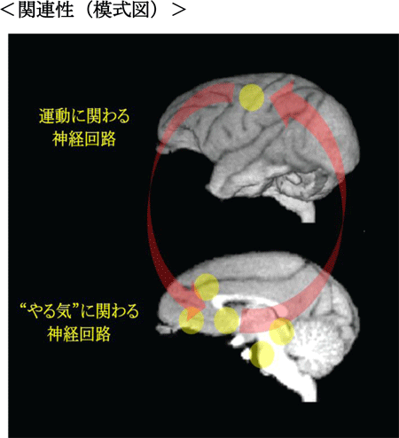 nishimura-3.gif