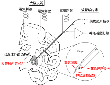 noPro-2-2.jpg