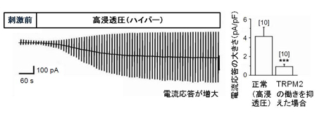 okada-1.jpg