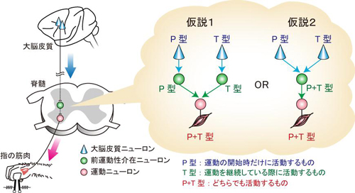 press20130515SEKI-1.jpg