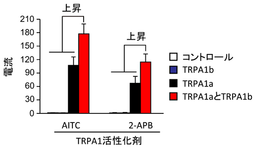 press20130906tominaga-1.jpg